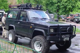 271.jpg