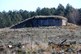 zzz20121030162253.jpg