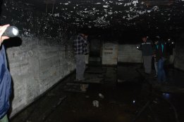 zzz20121030162280.jpg