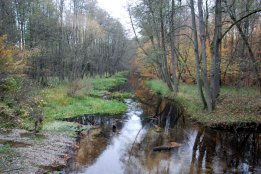 zzz20121030162326.jpg