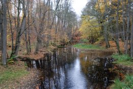 zzz20121030162327.jpg