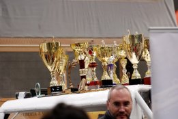 zzz20121119101137.jpg